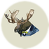 Michael Moose
